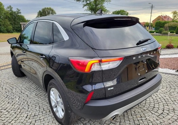 Ford Kuga cena 81500 przebieg: 33000, rok produkcji 2021 z Tarnów małe 436